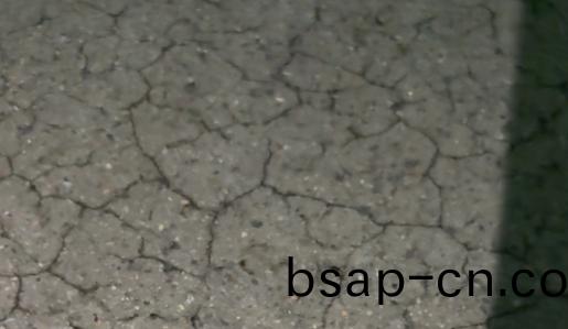 Snipaste_2025-03-12_09-19-06.jpg